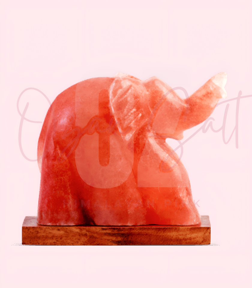 Elephant Shape Lamp