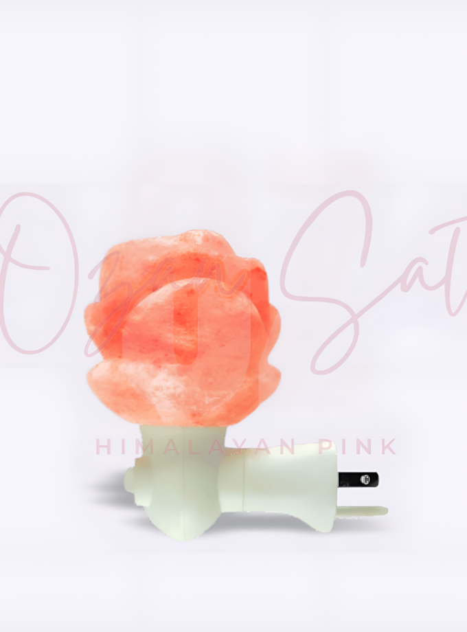 Himalayan salt flower night lamp