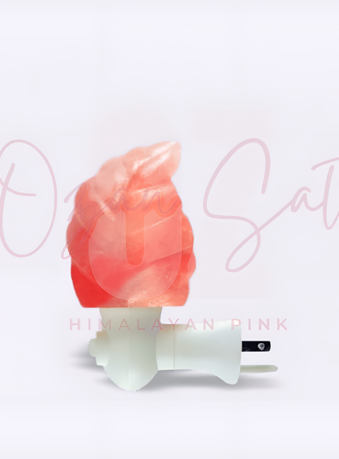 Himalayan Salt Leaf Night Lamp