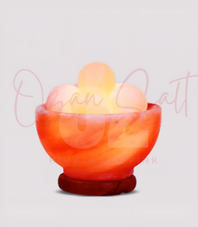 Himalayan Salt Fire Bowl Lamp